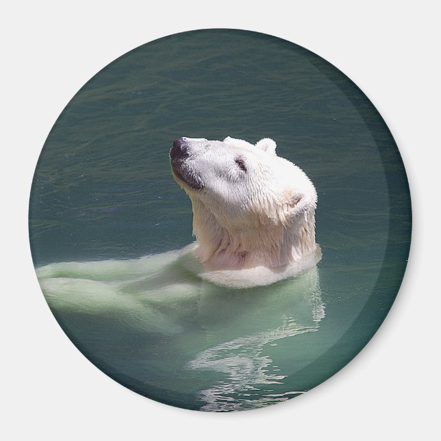 Polar bear resting magnet (Front)
