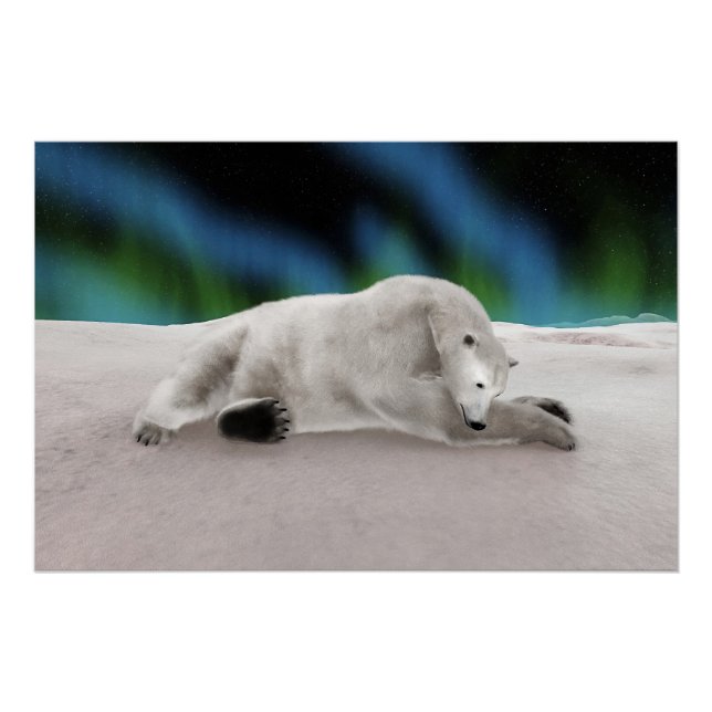 Polar Bear Resting Poster (Front)