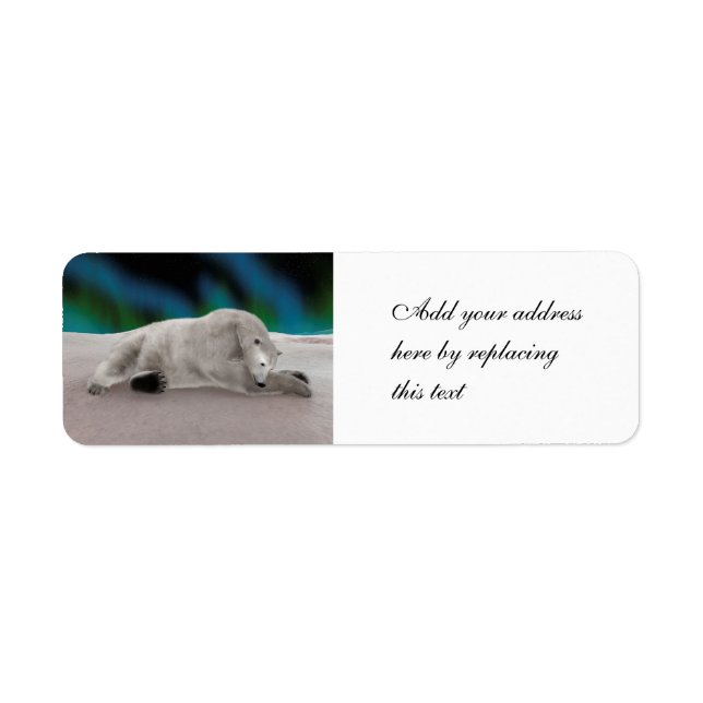 Polar Bear Resting Return Address Label (Front)