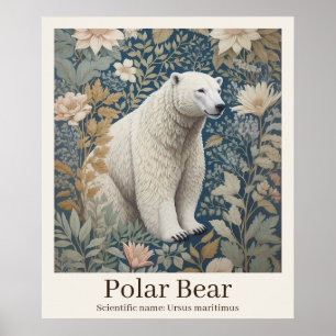 Polar Bear Scientific Name Wildlife Poster