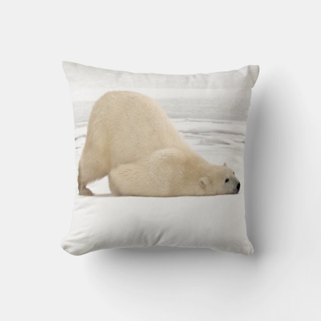 Polar bear scratching itself on frozen tundra cushion (Front)