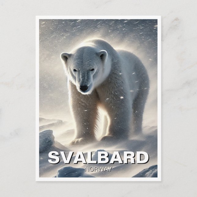 Polar Bear Snow Svalbard Norway Postcard (Front)