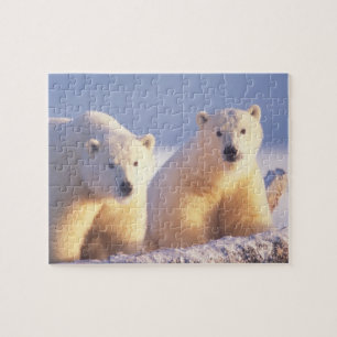 Polar bear sow with cub on pack ice jigsaw puzzle
