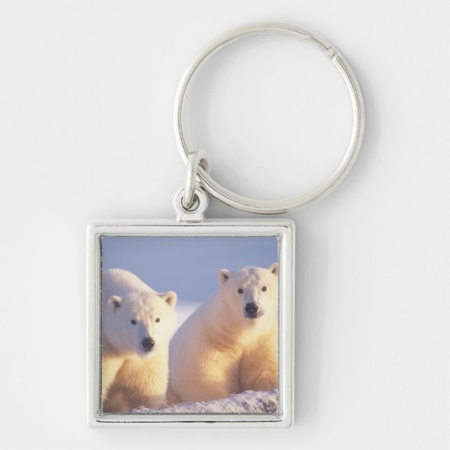 Polar bear sow with cub on pack ice key ring (Front)