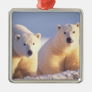 Polar bear sow with cub on pack ice metal tree decoration