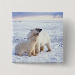Polar bear sow with cub, pack 15 cm square badge