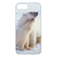 Polar bear sow with cub, pack