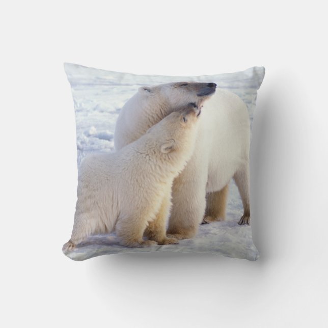 Polar bear sow with cub, pack cushion (Front)