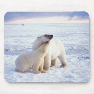 Polar bear sow with cub, pack mouse pad