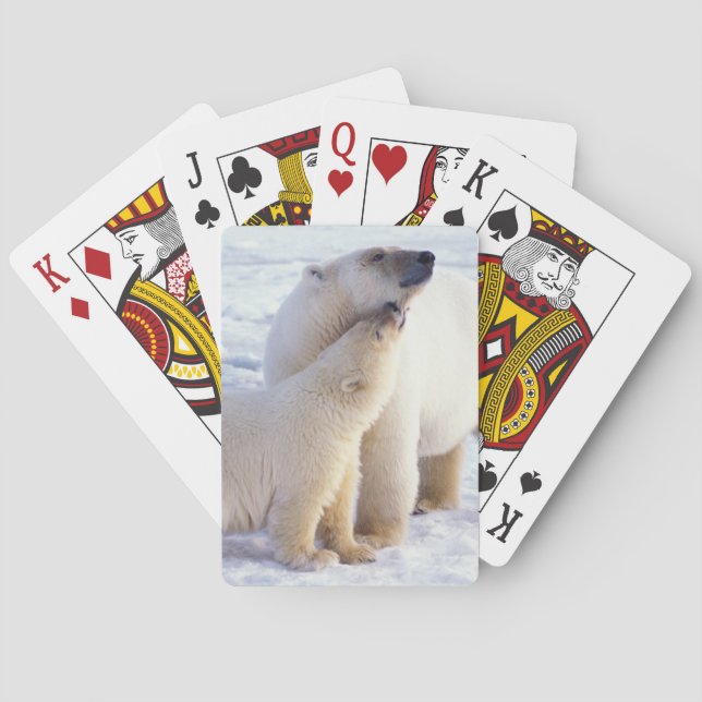 Polar bear sow with cub, pack playing cards (Back)