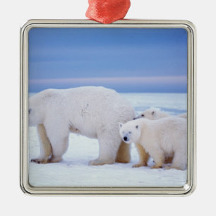 Polar bear sow with cubs metal ornament