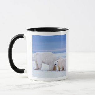Polar bear sow with cubs mug