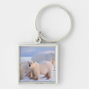 Polar bear sow with cubs on pack ice, coastal key ring
