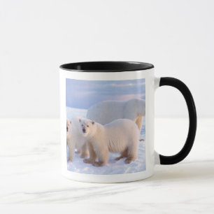 Polar bear sow with cubs on pack ice, coastal mug
