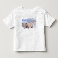 Polar bear sow with cubs on pack ice, coastal