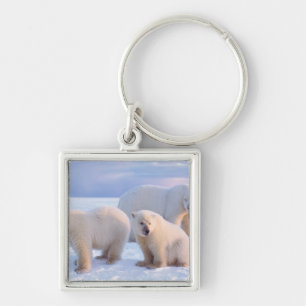 Polar bear sow with cubs on pack ice of coastal key ring