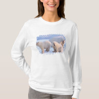 Polar bear sow with cubs on pack ice of coastal