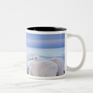 Polar bear sow with cubs Two-Tone coffee mug