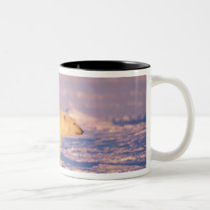 Polar bear sow with spring cubs on the frozen Two-Tone coffee mug