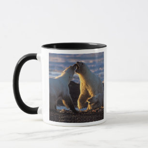 Polar bear sows with cub at side, 1002 coastal mug