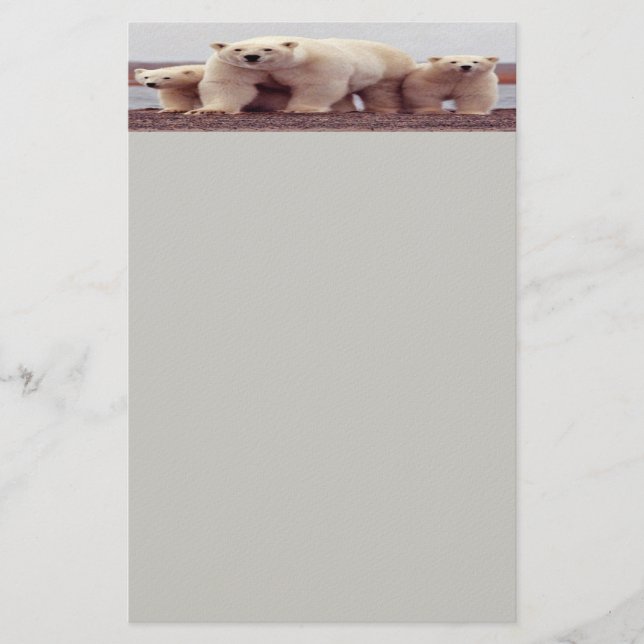 Polar bear Stationery (Front)