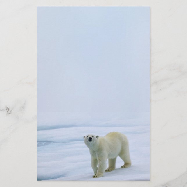 Polar Bear Stationery (Front)