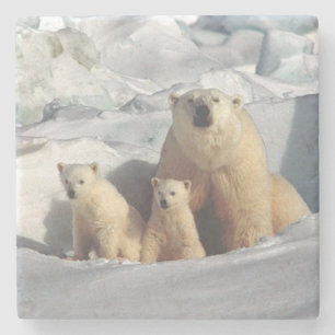 Polar Bear Stone Coaster