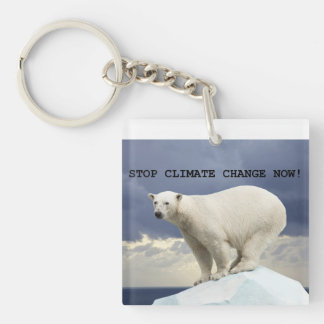Polar Bear Stop Climate Change Now!  Key Ring