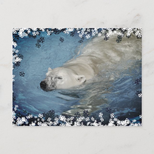 Polar bear swimming postcard (Front)