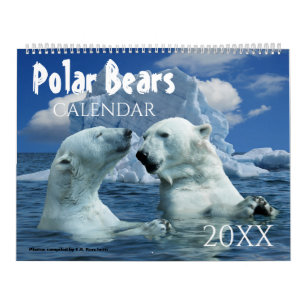 Polar Bear Themed 2027 Wall Calendar Gift