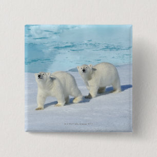 Polar bear, two cups on pack ice, Ursus 15 Cm Square Badge
