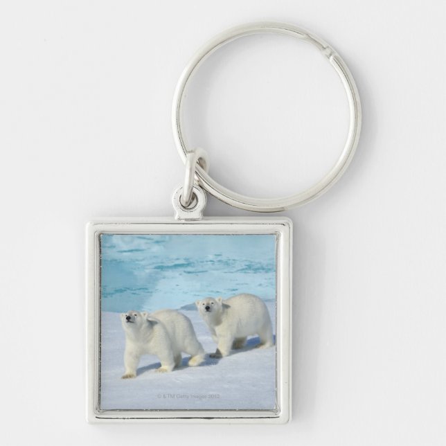 Polar bear, two cups on pack ice, Ursus Key Ring (Front)