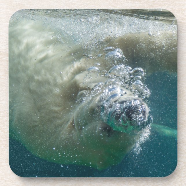 Polar bear underwater coaster (Front)