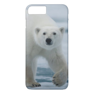 Polar Bear, Ursus Maritimus, Adult iPhone 8 Plus/7 Plus Case