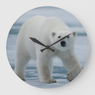 Polar Bear, Ursus Maritimus, Adult Large Clock