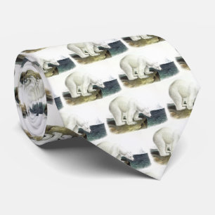 Polar Bear (Ursus Maritimus), Audubon's Quadrupeds Tie