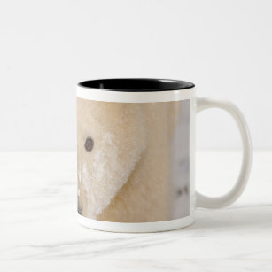 polar bear, Ursus maritimus, close up of a cub Two-Tone Coffee Mug