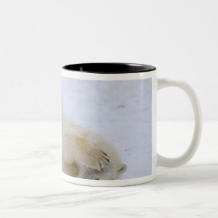 polar bear, Ursus maritimus, cub rolling 2 Two-Tone Coffee Mug