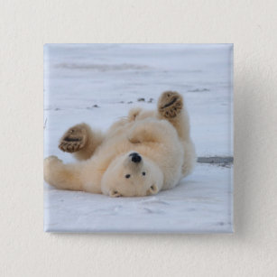 polar bear, Ursus maritimus, cub rolling 3 15 Cm Square Badge