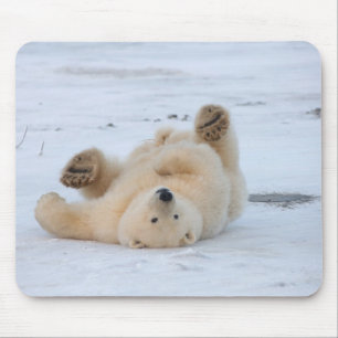 polar bear, Ursus maritimus, cub rolling 3 Mouse Pad