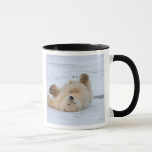 polar bear, Ursus maritimus, cub rolling 3 Mug