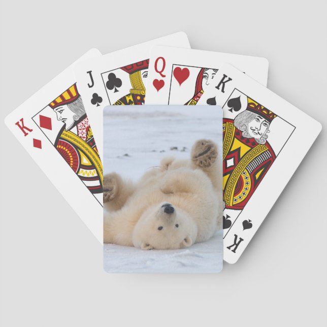 polar bear, Ursus maritimus, cub rolling 3 Playing Cards (Back)
