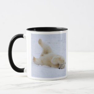 polar bear, Ursus maritimus, cub rolling Mug