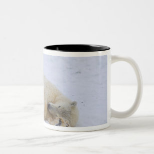 polar bear, Ursus maritimus, cub rolling Two-Tone Coffee Mug