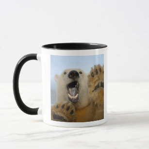 polar bear, Ursus maritimus, curiously looks in 2 Mug