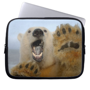 polar bear, Ursus maritimus, curiously looks Laptop Sleeve