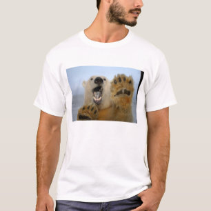 polar bear, Ursus maritimus, curiously looks T-Shirt