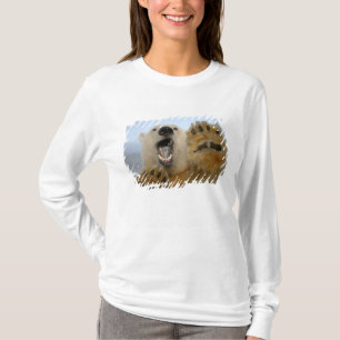 polar bear, Ursus maritimus, curiously looks T-Shirt