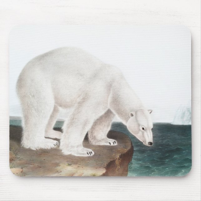 Polar Bear (Ursus maritimus) Illustration Mouse Pad (Front)