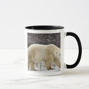 Polar Bear Ursus maritimus) in Churchill Mug